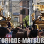 TORIGOE-MATSURI 20150606