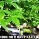 CYANIONING & CAMP AT OKUTAMA 20150704-05